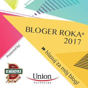 Bloger roka 2017