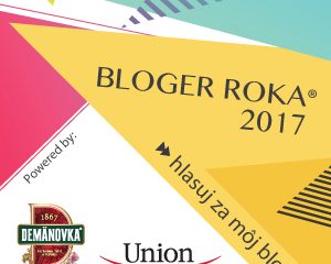Bloger roka 2017